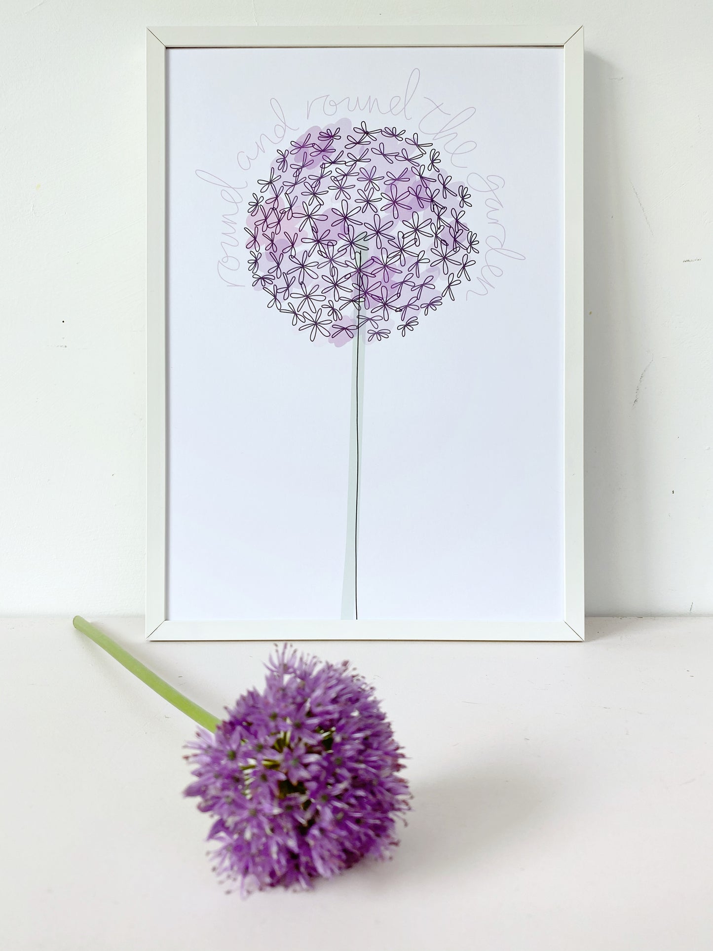 #justaline Allium