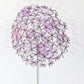 #justaline Allium