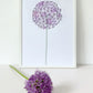 #justaline Allium